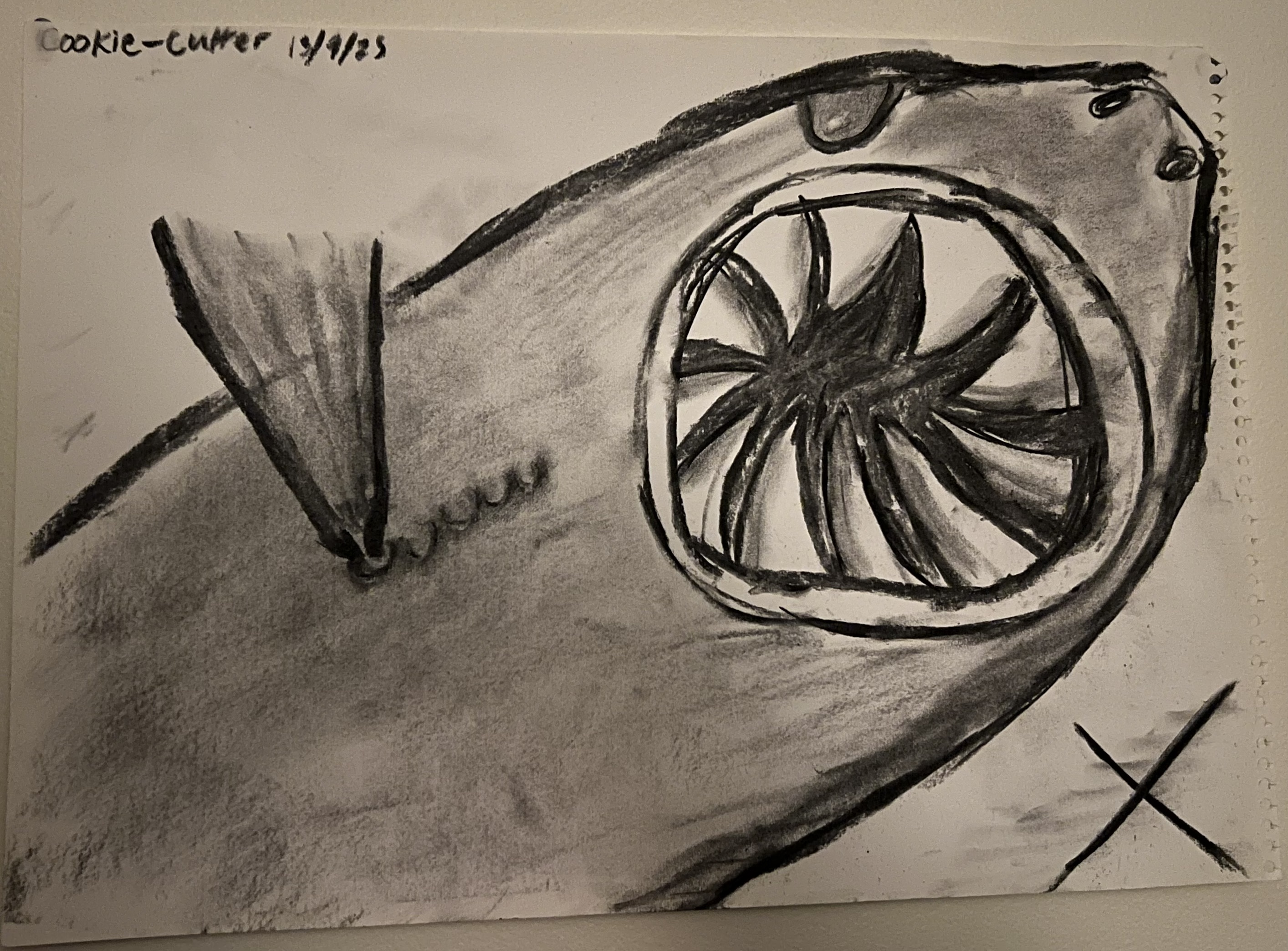 cookie cutter shark from underneath