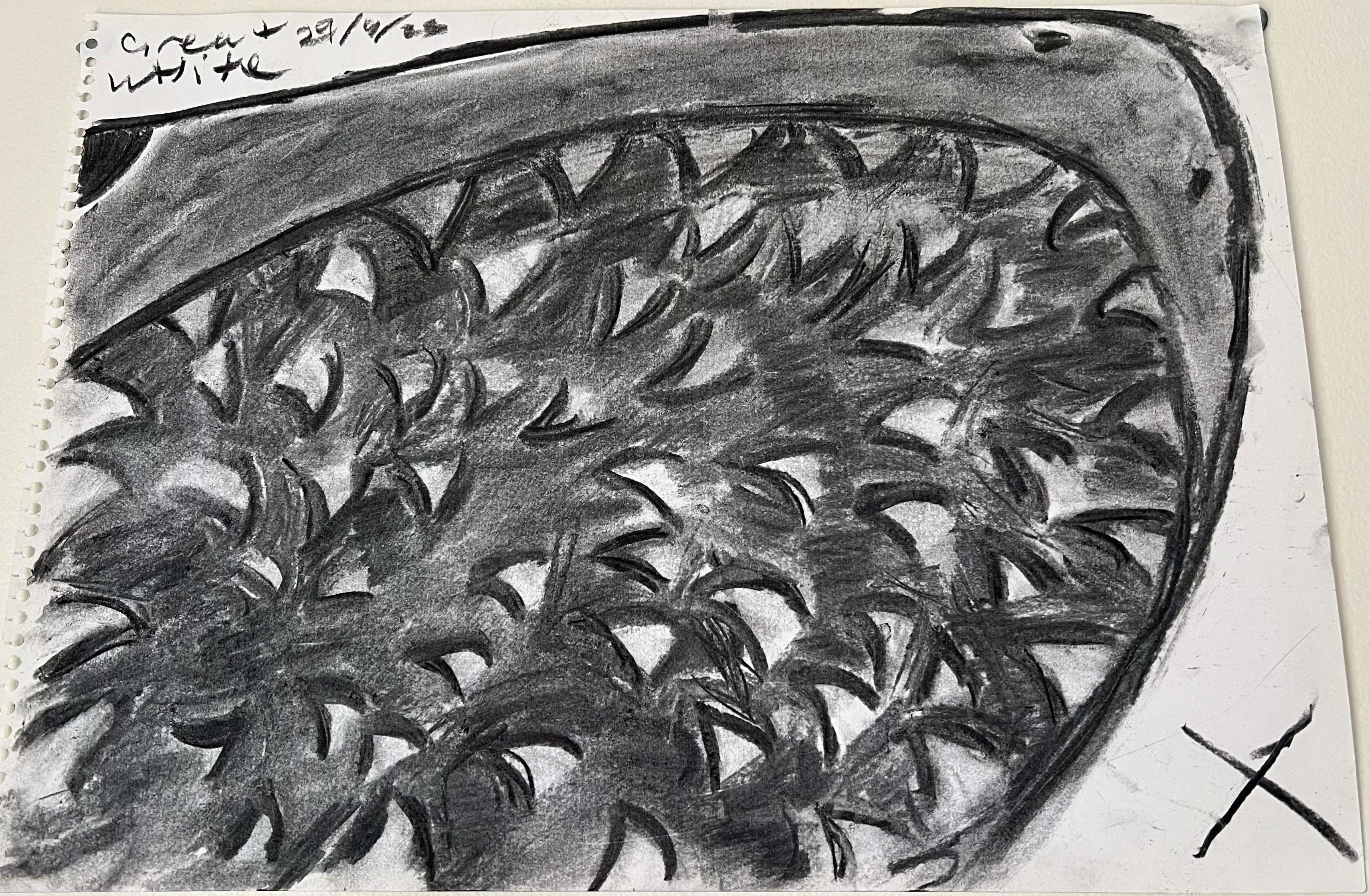 great white eating the viewer